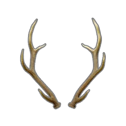 Antler in RuneScape: Dragonwilds