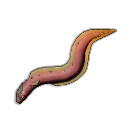 Raw Infernal Eel in RuneScape: Dragonwilds
