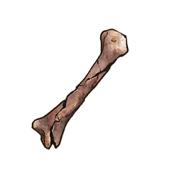 Undead Bone in RuneScape: Dragonwilds