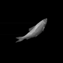 Burnt Sardine in RuneScape: Dragonwilds
