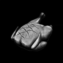 Burnt Fillet in RuneScape: Dragonwilds