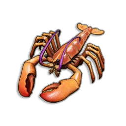 Pristine Lobster in RuneScape: Dragonwilds
