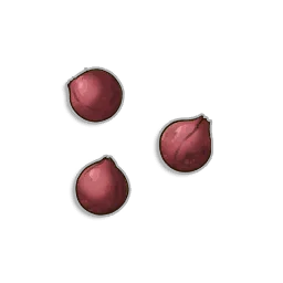 Redberry Seeds in RuneScape: Dragonwilds