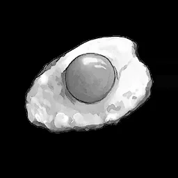 Burnt Egg in RuneScape: Dragonwilds