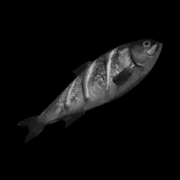 Burnt Herring in RuneScape: Dragonwilds