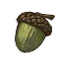 Oak Tree Seed in RuneScape: Dragonwilds
