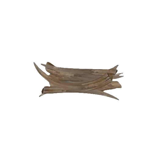 Garou Tusks 01 in RuneScape: Dragonwilds