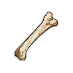 Animal Bone in RuneScape: Dragonwilds
