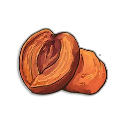 Dried Peach in RuneScape: Dragonwilds
