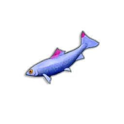 Raw Anchovies in RuneScape: Dragonwilds