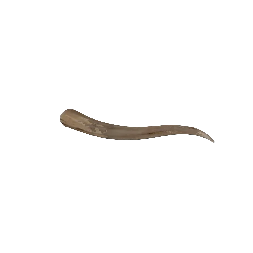 Garou Tusks 02 in RuneScape: Dragonwilds