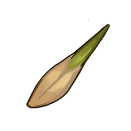 Ash Tree Seed in RuneScape: Dragonwilds