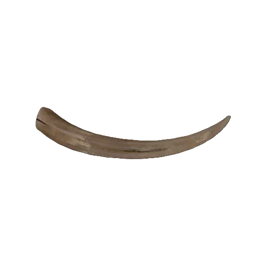 Garou Tusks 03 in RuneScape: Dragonwilds