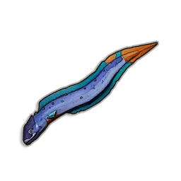 Raw Beltfish in RuneScape: Dragonwilds