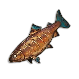 Sun Baked Sole in RuneScape: Dragonwilds