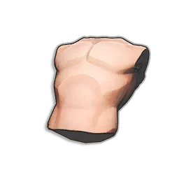 Human Torso in RuneScape: Dragonwilds