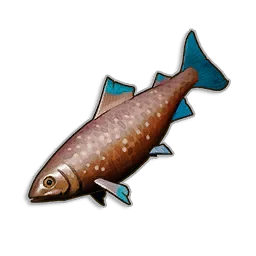 Raw Desert Sole in RuneScape: Dragonwilds