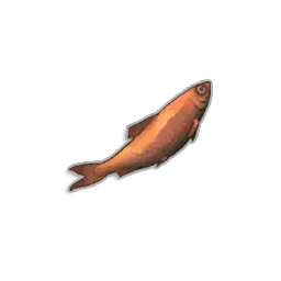Fried Sardine in RuneScape: Dragonwilds