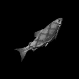 Burnt Trout in RuneScape: Dragonwilds