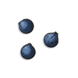 Dwellberry Seeds in RuneScape: Dragonwilds