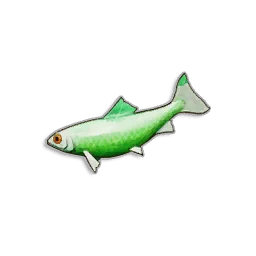 Pristine Sardine in RuneScape: Dragonwilds