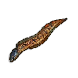 Steamed Beltfish in RuneScape: Dragonwilds