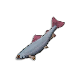 Raw Herring in RuneScape: Dragonwilds